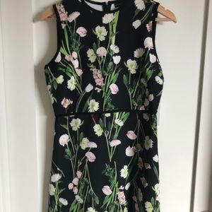 NWT Victoria Beckham x Target Floral Dress